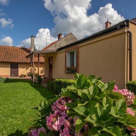U Rybaka Appartement Braniewo Buitenkant foto